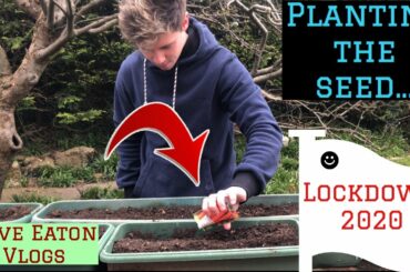 Planting the Seed… Quarantine Vlog #7