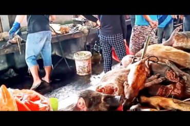 WUHAN WET MARKET before the outbreak, said to be the origin of coronavirus.
