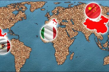 Best Buckwheat Recipes | Buckwheat Around the World | Kitchen Experiments