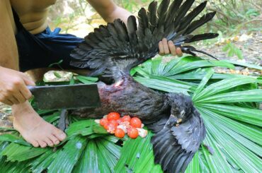 Yummy Cooking Duck for Dinner in forest