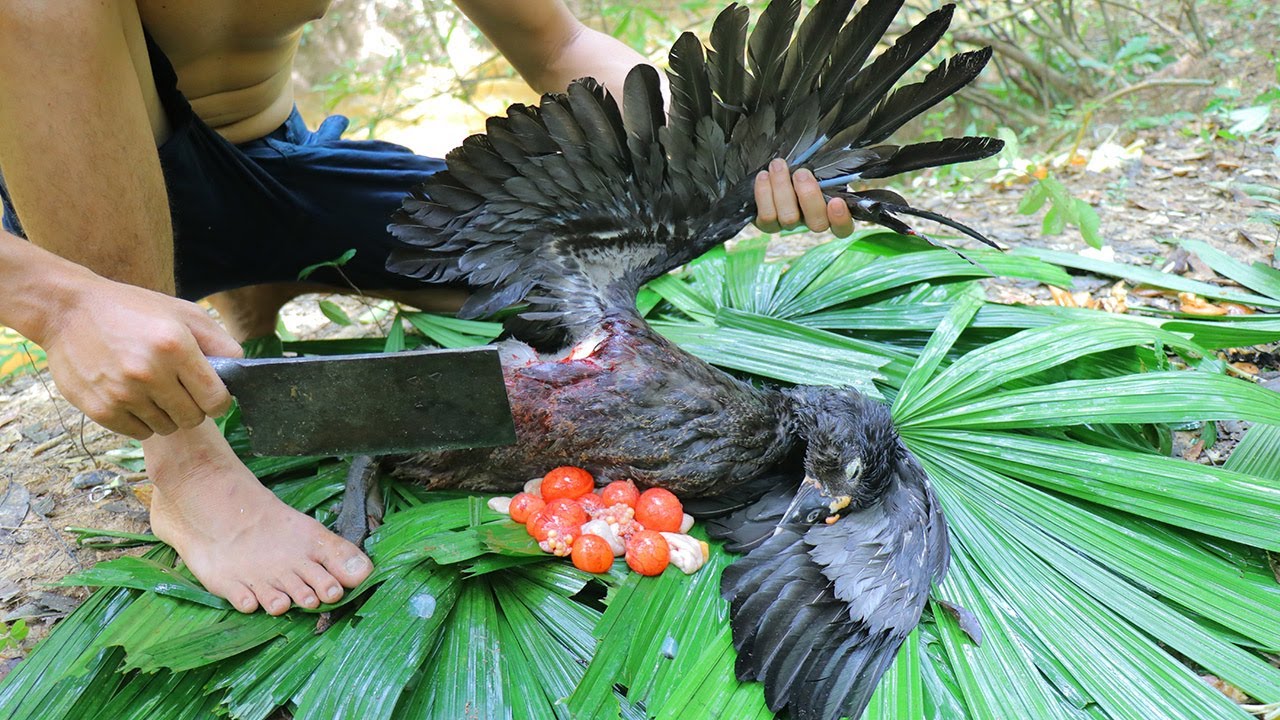 Yummy Cooking Duck for Dinner in forest Yummy Cooking Duck for Dinner in forest