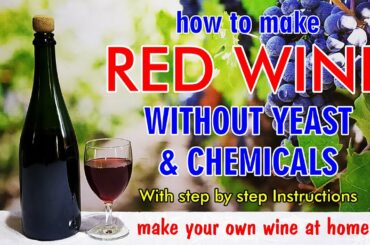 make your own RED WINE (without YEAST & CHEMICALS)  at home