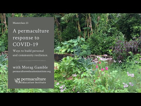 Masterclass 23: A Permaculture Response to COVID-19 with Morag Gamble Masterclass 23: A Permaculture Response to COVID-19 with Morag Gamble