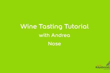 Wine tasting tutorial - Nose or Bouquet