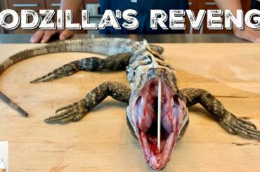 GODZILLA'S REVENGE! | CORONAVIRUS Panic Food Source