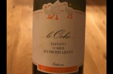 Fattoria San Lorenzo 2017 Verdicchio dei Castelli di Jesi "LE OCHE" ITALY QUARANTINE WINE TASTING