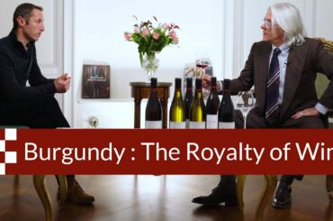 Burgundy : The Royalty of Wine