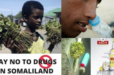 (CRAZY STUFF IN SOMALILAND) affecting our youth.How to support the anti-drug campaign? #SAYNOTODRUGS