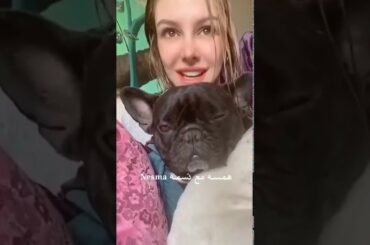 الحيوانات لا تنقل فيروس كورونا || بصوت الفنانين والمشاهير محبي القطط والكلاب ❤️