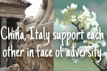 China, Italy support each other in face of adversity