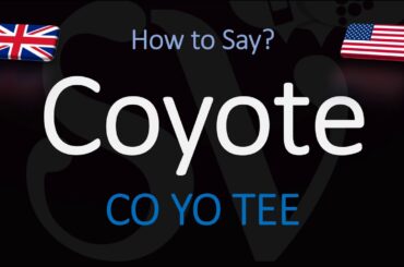 How to Pronounce Coyote? | English, American Pronunciation