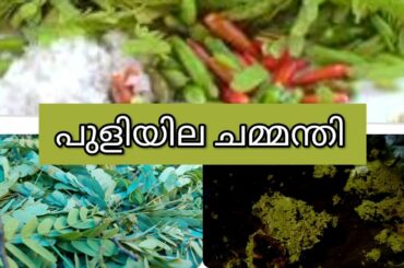how to make puliyila chammanthi recipe rjsree പുളിയില ചമ്മന്തി ഉണ്ടാക്കാം