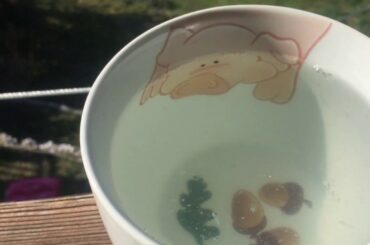 Drinking in my Italian Balcony | Living on my Balcony Italy is like Living in Nature | Loner Life