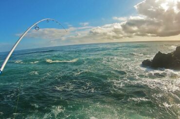 Spinning for tailor (catch, clean, cook)