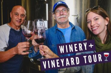 Mendoza WINERY + VINEYARD Tour 🍇 | Visiting BODEGAS LUMINIS in Maipu, Argentina 🍷