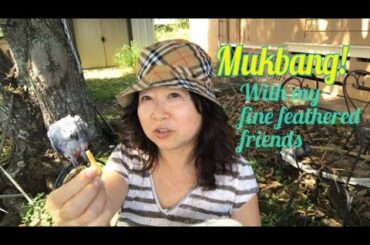 Mukbang Hawaii: Pasta in quarantine, with parrots