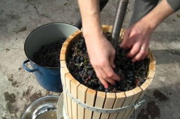 How to make grape juice with a traditional wine press