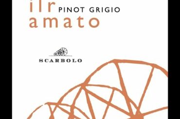 Vineyard Chat with Mattia Scarbolo of Scarbolo Wines in Friuli, Italy