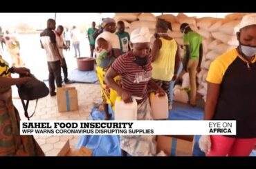 Sahel food insecurity: WFP warns coronavirus disrupting supplies