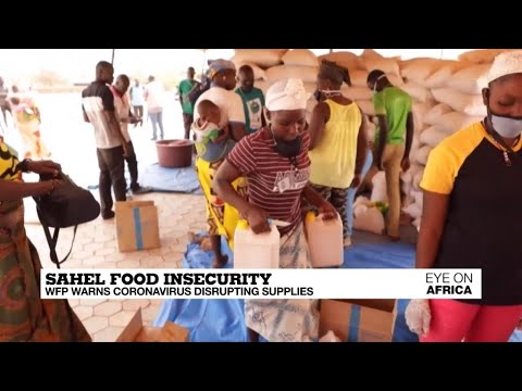 Sahel food insecurity: WFP warns coronavirus disrupting supplies Sahel food insecurity: WFP warns coronavirus disrupting supplies