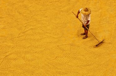 Live: China's measures to secure food supplies amid COVID-19 pandemic联防联控保障粮食供给