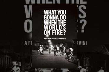 What You Gonna Do When the World's on Fire?
