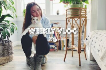 weekly vlog #6 (1st week #selfisolation, DivaCup love, feel good music + more) | Lauren In Real Life