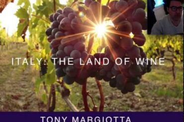 Is Italy Really The "Land Of Wine?" (FREE Wine Class)