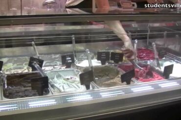 Tour di Gelato: The 10 Best Gelateria's in Florence Italy