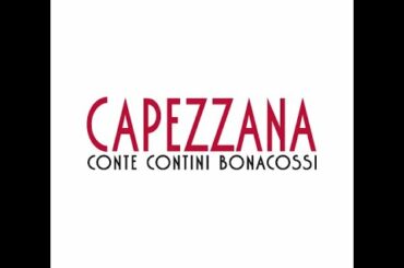 Capezzana Vineyard and Estate