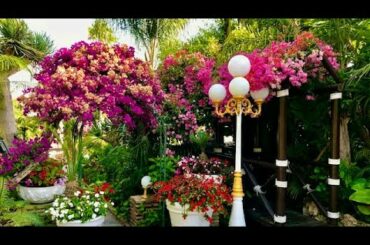 The2Woodies - SPAIN:  DINNER AT VILLA TIBERIO IN MARBELLA