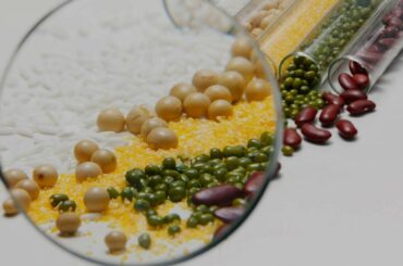 COVID-19: Impact on food security