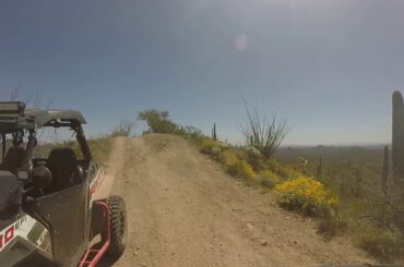 Climbing to lunch spot