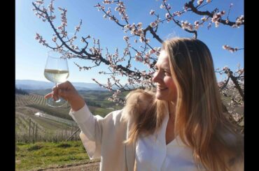 Wine tastings in Aosta Valley - Дегустации вин в Валле д'Аосте