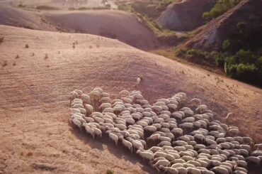 Just sound effects! No music Italian Scenery