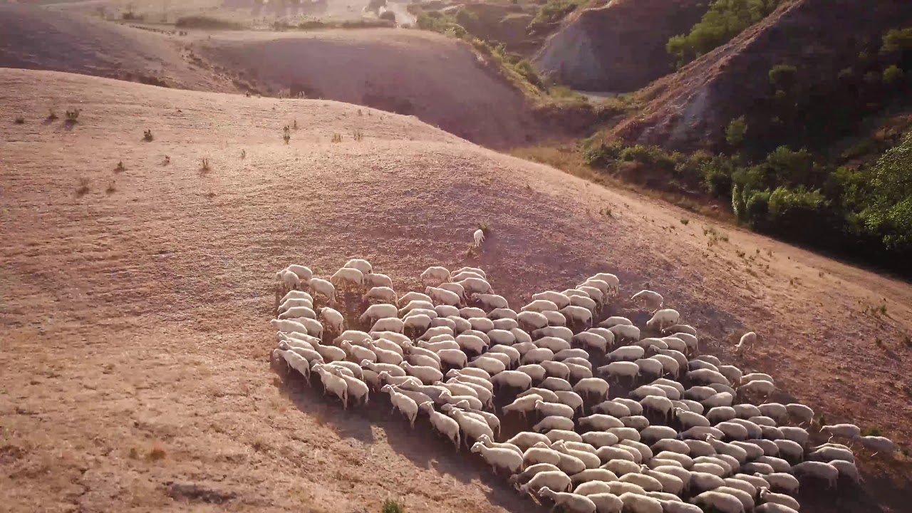 Just sound effects! No music Italian Scenery Just sound effects! No music Italian Scenery