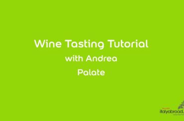 Wine Tasting Tutorial -- Palate