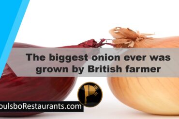 Onion Ever Was Grown By British Farmer   | Food Facts | Poulsbo Restaurants