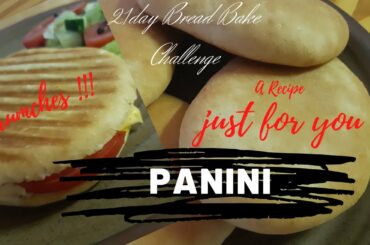 Day 16 Quick Panini Sandwich bread