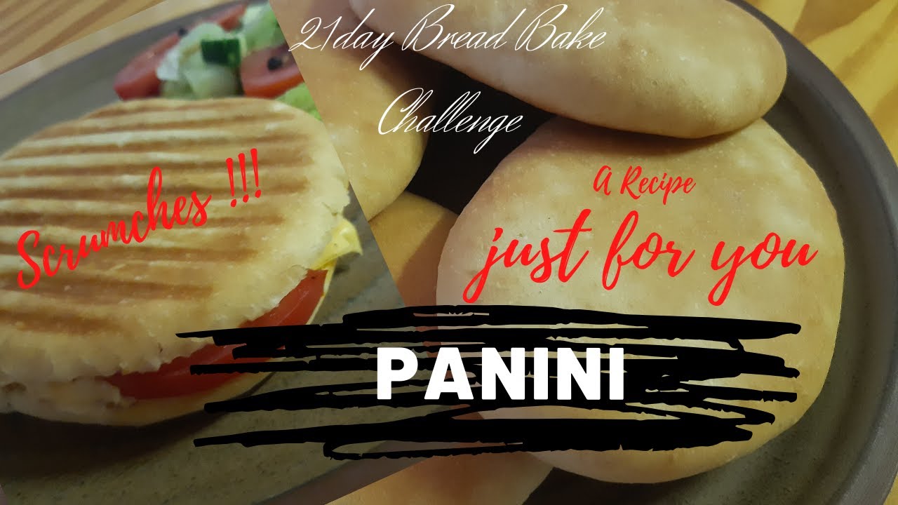 Day 16 Quick Panini Sandwich bread Day 16 Quick Panini Sandwich bread