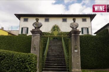 Live stream di Wine TV