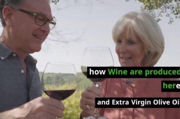 Wine tour from Pisa. The Best experience in Pisa