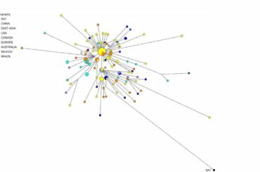 Scientists map COVID-19's journey across the world