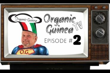 Orgnic Guinea TV - Ep.2 - Pasta Fagioli