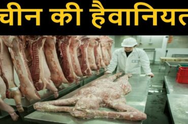 Amazing Facts About China In Hindi | चीन के बारे में 40 Rochak Tathya ( हिंदी में )