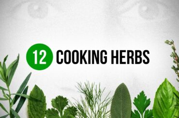 12 Cooking Herbs every Cook should know about !