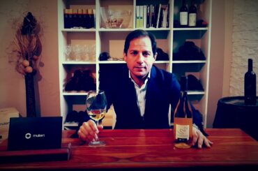 Chiaroscuro bianco, international white wine of Sardinia,  en