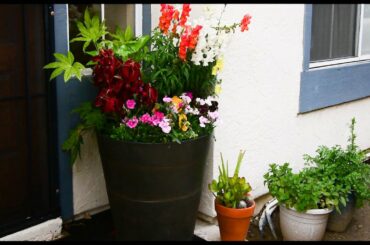 QUARANTINED! - TOP TEN THINGS to do FROM HOME!