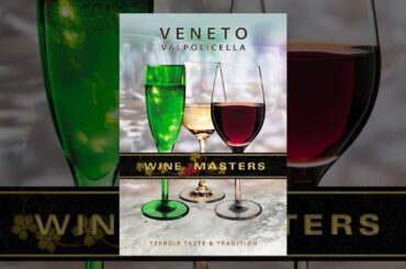 Wine Masters: Veneto