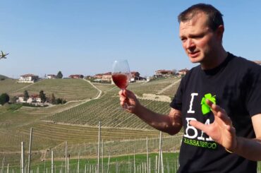 Giuseppe Cortese - Dolcetto Langhe